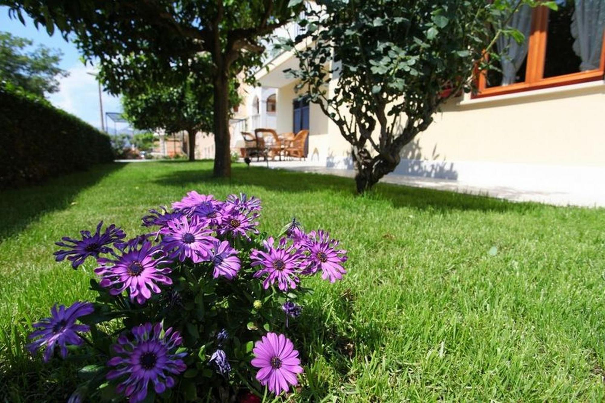 Antares Apartments Cavtat Exterior foto