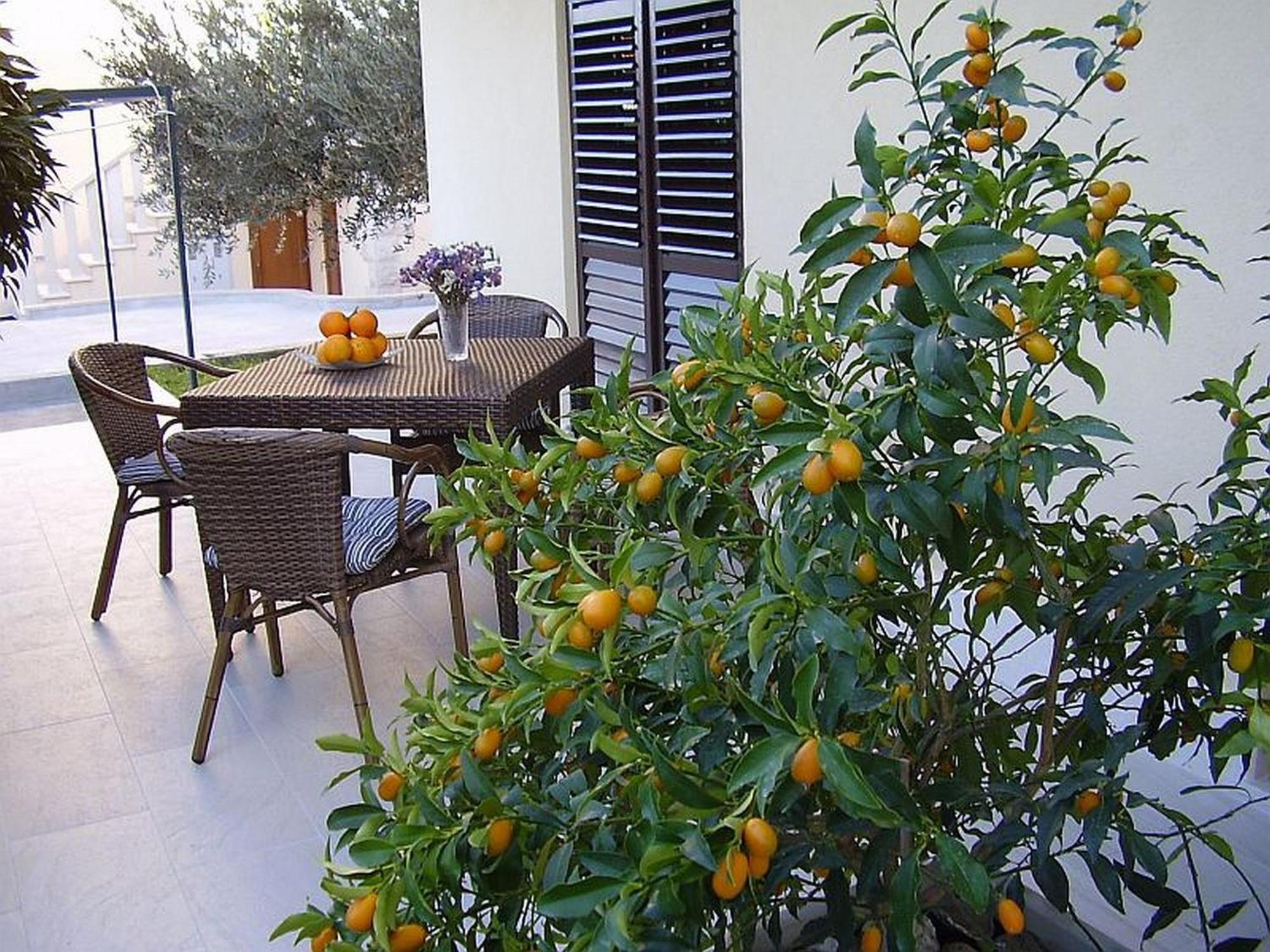 Antares Apartments Cavtat Exterior foto
